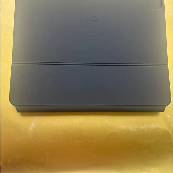 Apple Dark Gray iPad Cover